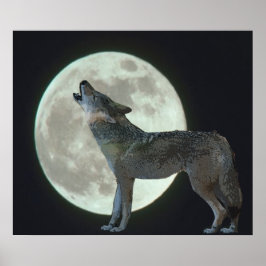 Coyote Howling am Mond Poster