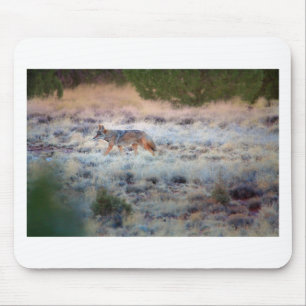 Coyote in der Abenddämmerung Mousepad