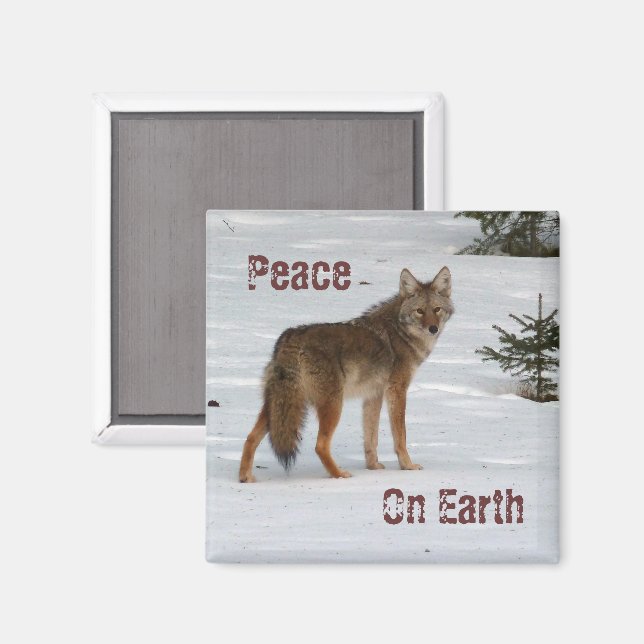 Coyote in Snow Magnet (Vorderseite/Rückseite)