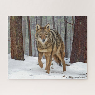 "Coyote in the Pines" Jigsaw Puzzle