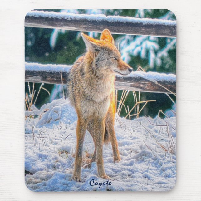 Coyote-Jagd bei Frauen im Schnee #Gift Mousepad (Vorne)