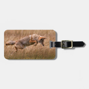Coyote Leaping - Gibbon-Wiesen Gepäckanhänger