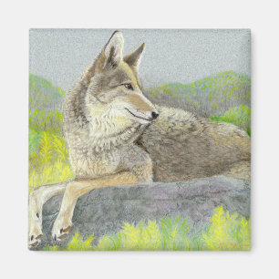 Coyote Magnet