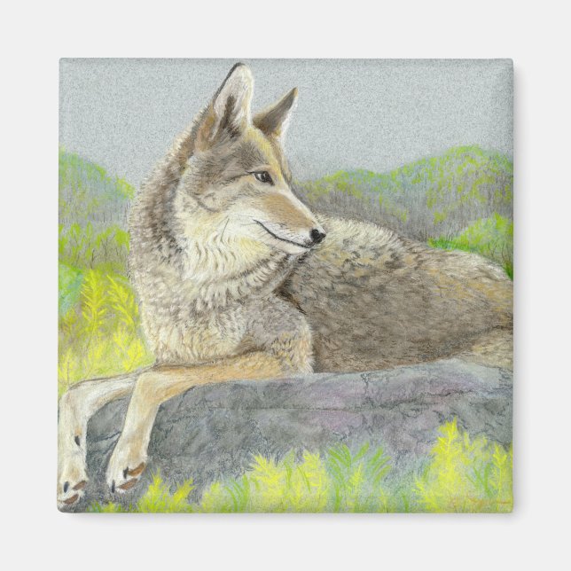 Coyote Magnet (Vorne)