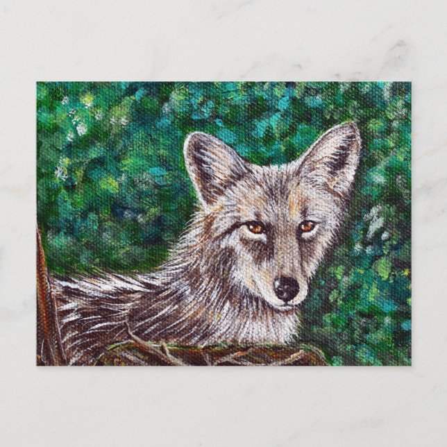 Coyote-Malerei im Hinterhof Postkarte (Vorderseite)