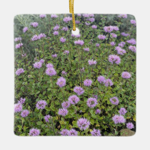 Coyote Mint Keramikornament