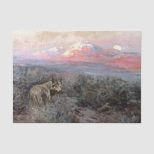 "Coyote Moonrise" von Frank Tenney Johnson Seidenpapier