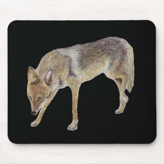 Coyote Mousepad (Vorne)