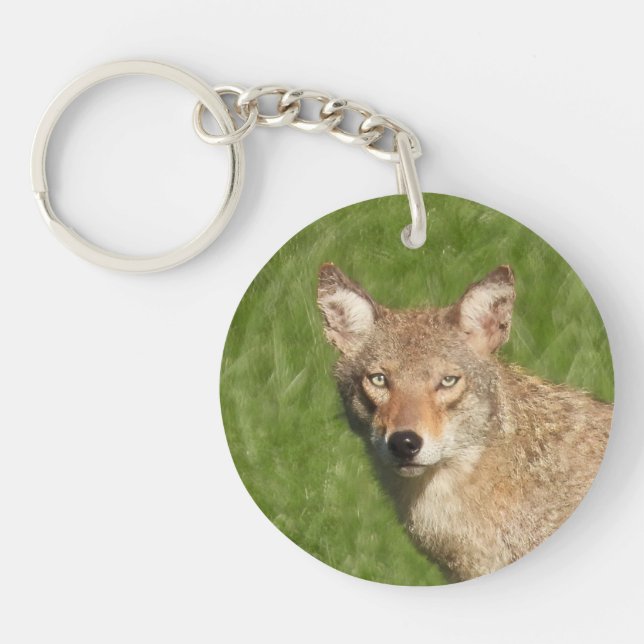 Coyote nah schlüsselanhänger (Vorderseite)