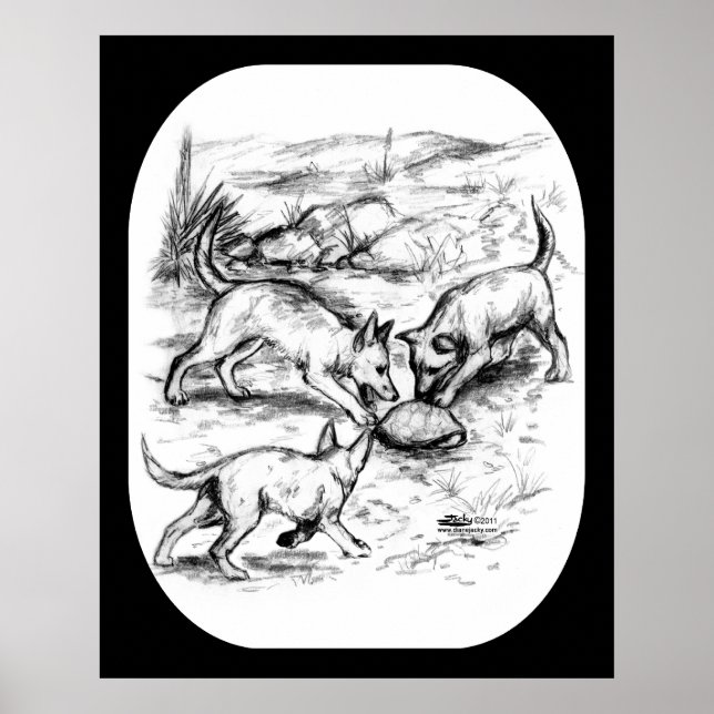 Coyote Pups Poster (Vorne)