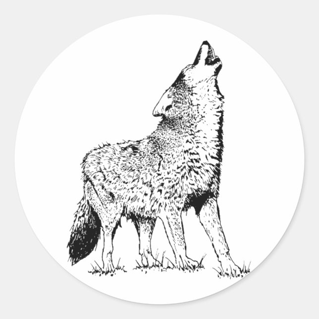 Coyote Runder Aufkleber (Vorderseite)