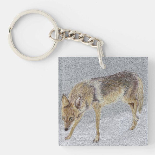 Coyote Schlüsselanhänger (Vorderseite)