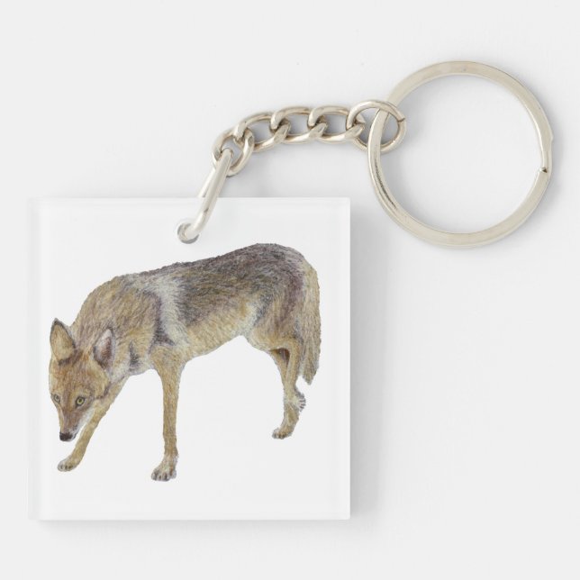 Coyote Schlüsselanhänger (Rückseite)