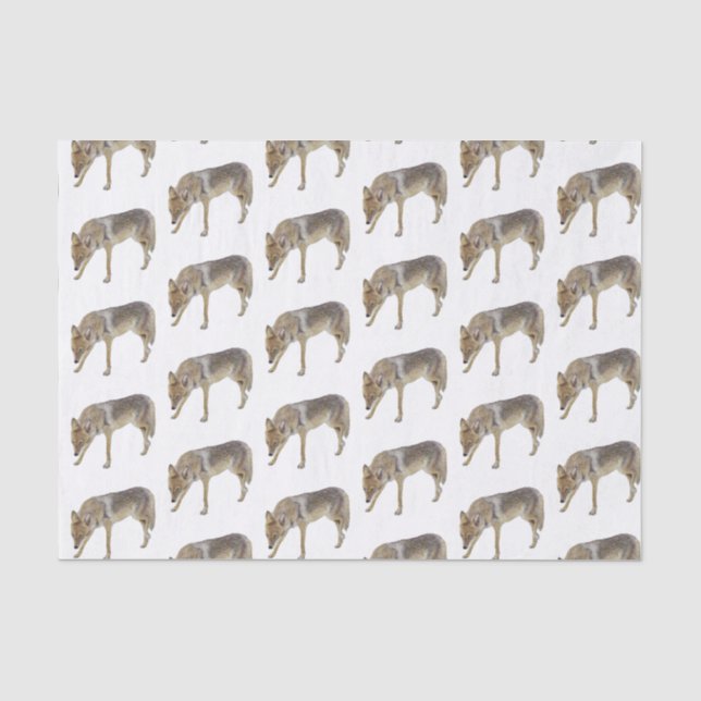 Coyote Seidenpapier (Vorderseite)