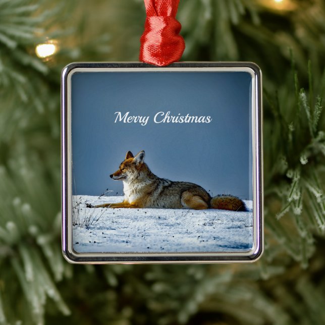 Coyote Snow Foto Weihnachten Ornament Aus Metall (Baum)