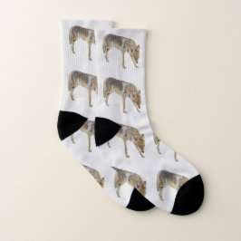 Coyote Socken