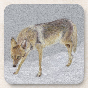 Coyote Untersetzer