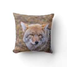 Coyote Wild Dog Kissen