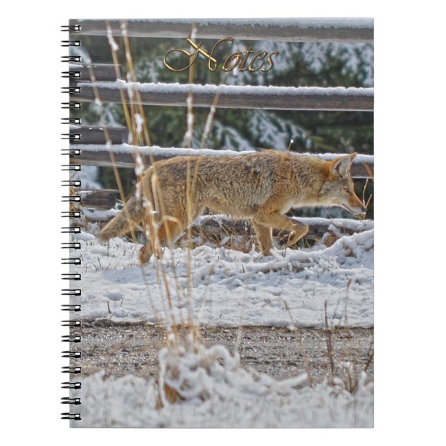 Coyote Wildlife-Fans-Notebook Notizblock (Vorderseite)