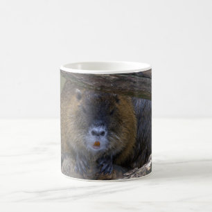 Coypu Kaffeetasse