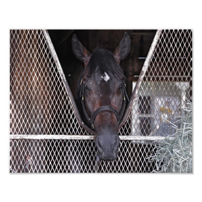 Cozmic One in Historic Saratoga Fotodruck (Vorne)