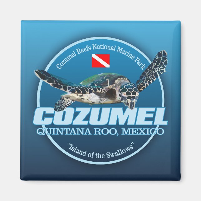 Cozumel (DD2) Magnet (Vorne)