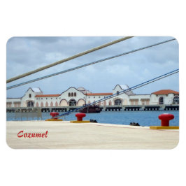 Cozumel Dockside Magnet