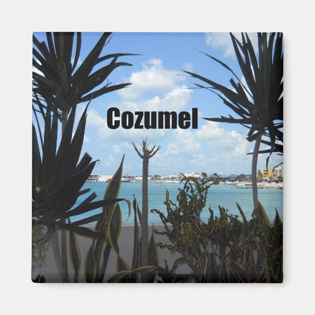 Cozumel Magnet (Vorne)