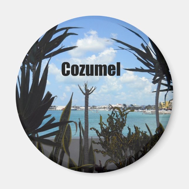 Cozumel Magnet (Vorne)