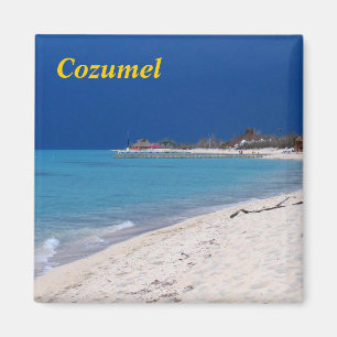 Cozumel-Magnet Magnet