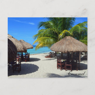 Cozumel Mexico Beach Hütte Palm Tree Aquamarines W Postkarte