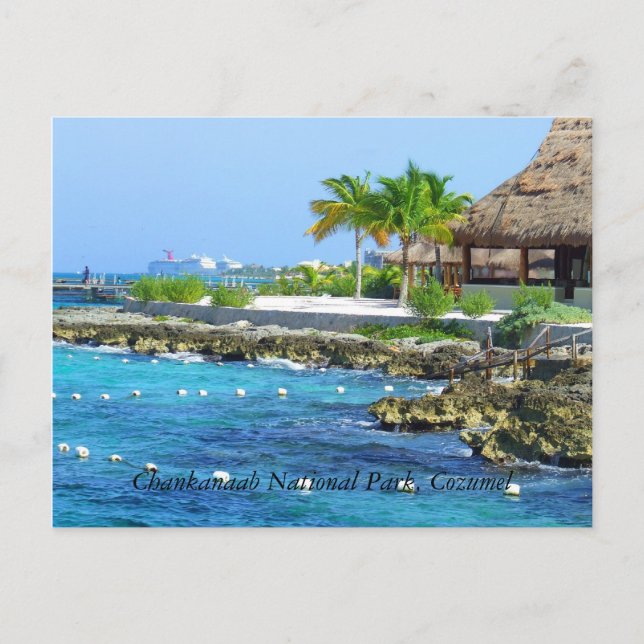 Cozumel Mexico Chankanaab Park Postcard Postkarte (Vorderseite)