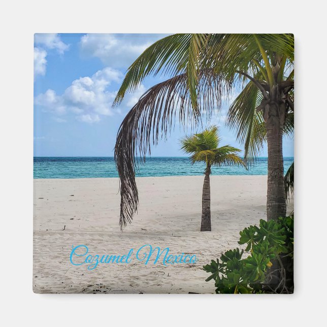 Cozumel Mexico Magnet (Vorne)