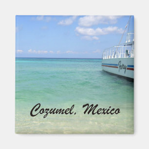 Cozumel, Mexiko Magnet