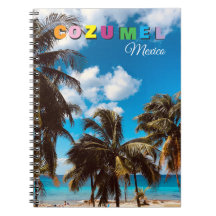 Cozumel Mexiko Souvenir Reise