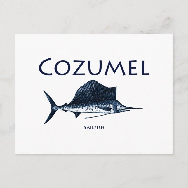 Cozumel Sailfish Postkarte (Vorderseite)