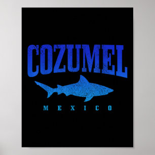 Cozumel Strand Mexiko Taucher Hai-Tauchen Vint Poster