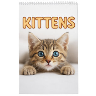 Cozy Cat Photography Süße Kätzchen Katzen Wand Kalender