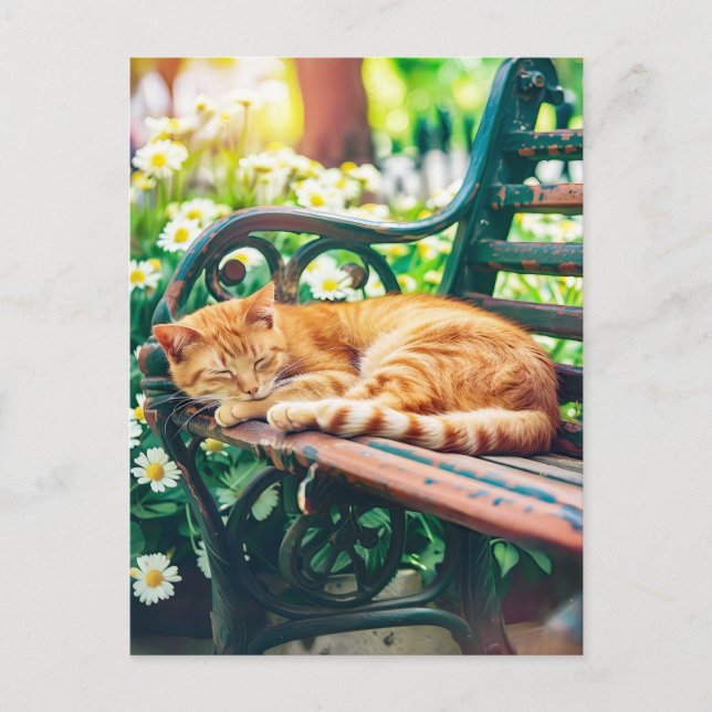 Cozy Cat Sleeping in Garden on Bench Postkarte (Vorderseite)
