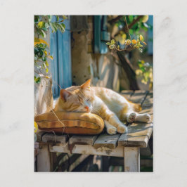Cozy Cat Sleeping in Garden on Bench Postkarte