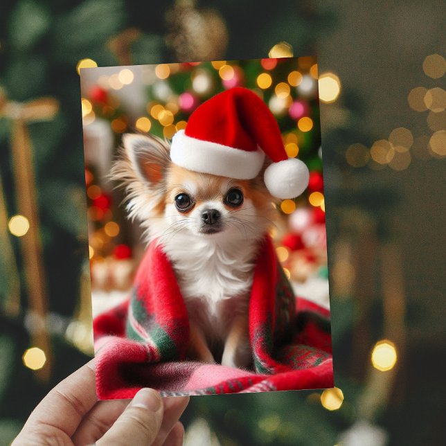 Cozy Chihuahua Weihnachtskarte (Von Creator hochgeladen)