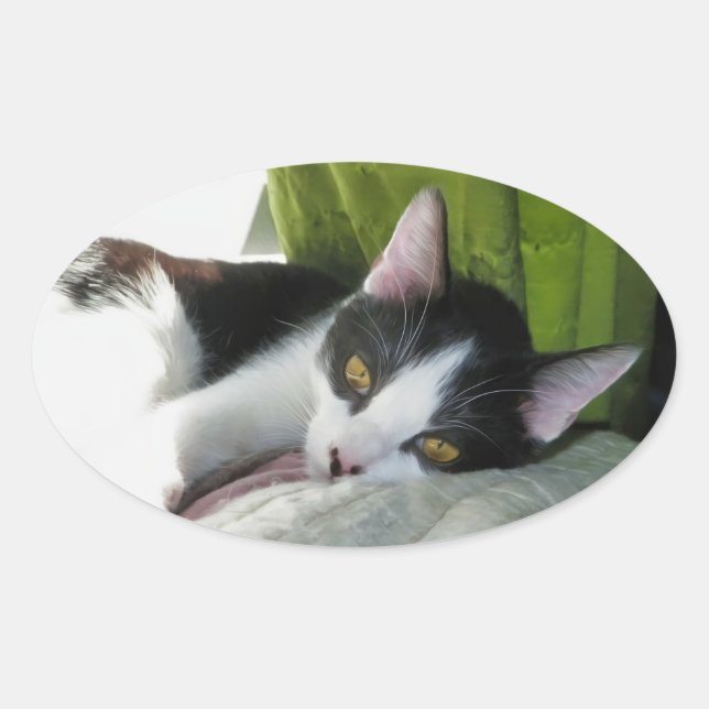 Cozy Tuxedo Cat Sticker (Vorderseite)