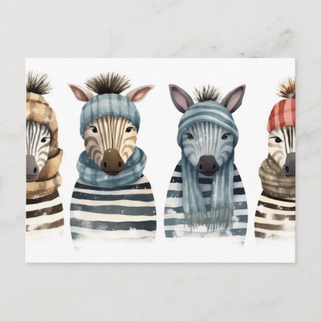 Cozy Zebras Postkarte (Vorderseite)