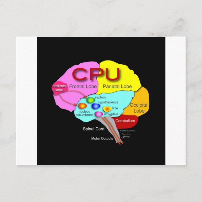 CPU-Gehirn Postkarte (Vorderseite)