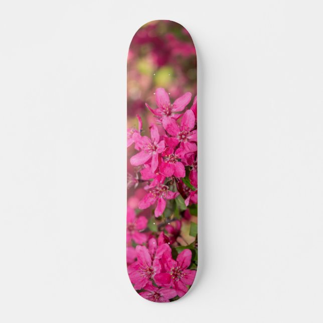 Crab Apple Blooms Skateboard (Vorne)