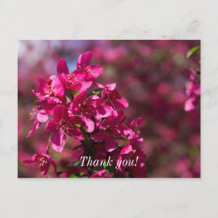 Crab Apple Shadows Danke, Postcard Postkarte