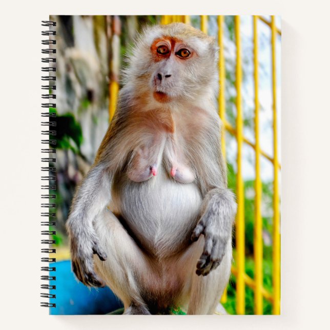 Crab-eating macaque notizbuch (Vorderseite)