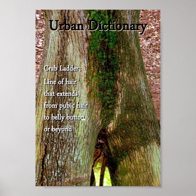 Crab Ladder Poster (Vorne)