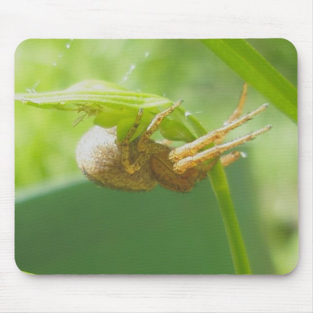 Crab Spider Thomisid Mousepad (Vorne)