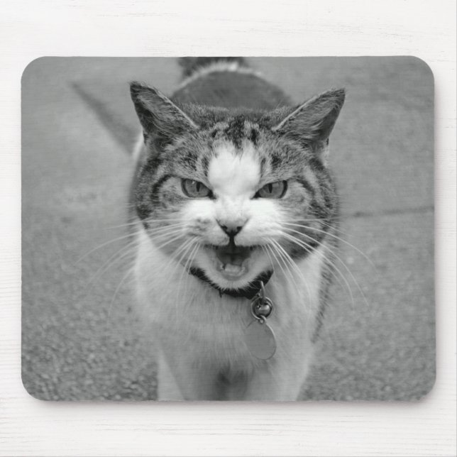 Crabby Cat Mousepad (Vorne)